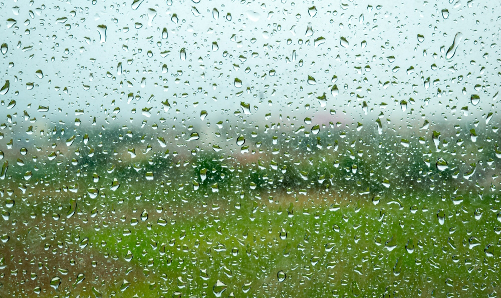 Cold November Rain for the Pound