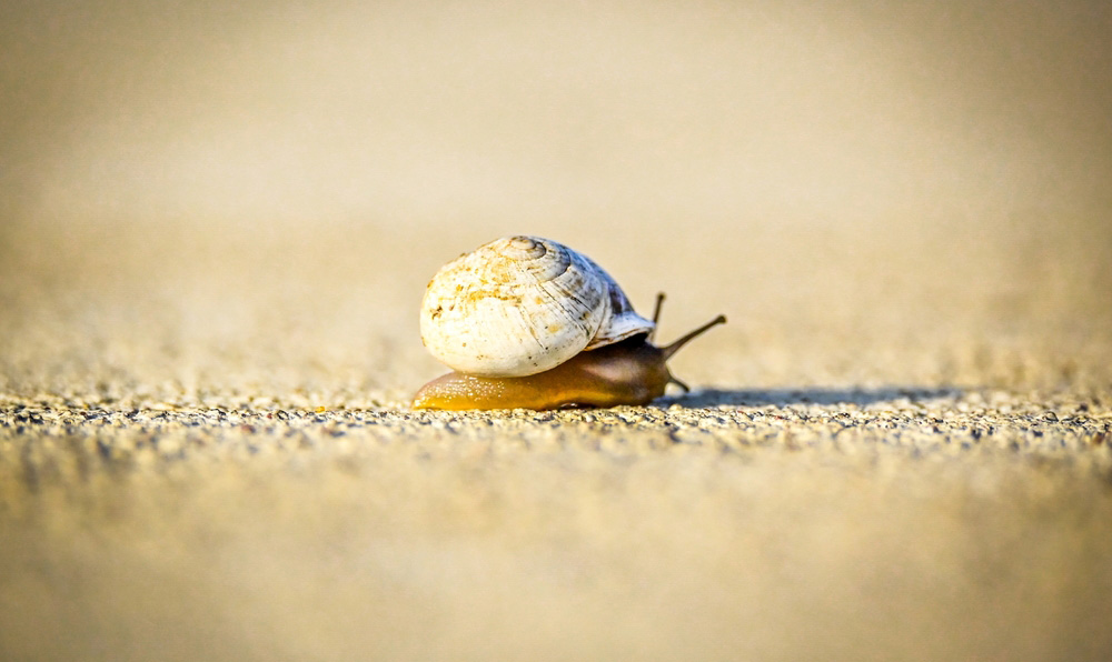 Sterling Makes Small Gains